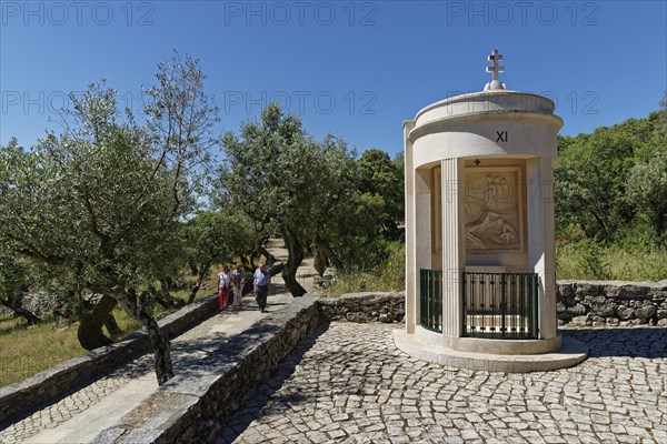 Way of the Cross
