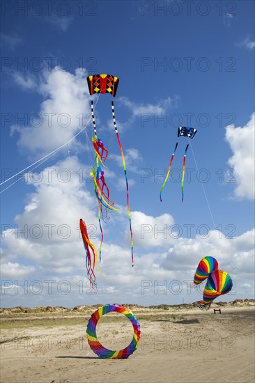 Stunt kite on the beach of