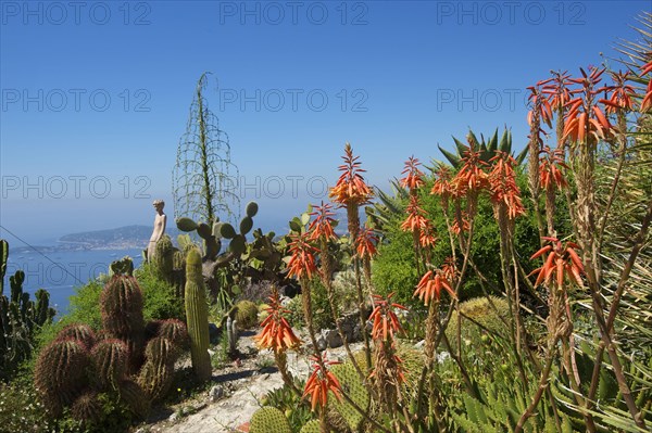 Jardin Exotique in Eze
