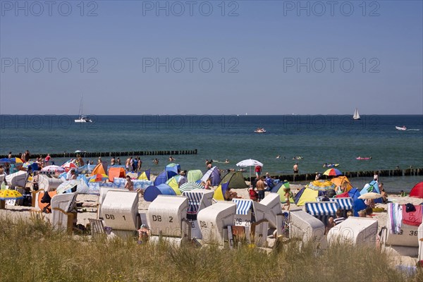 Beach chairs