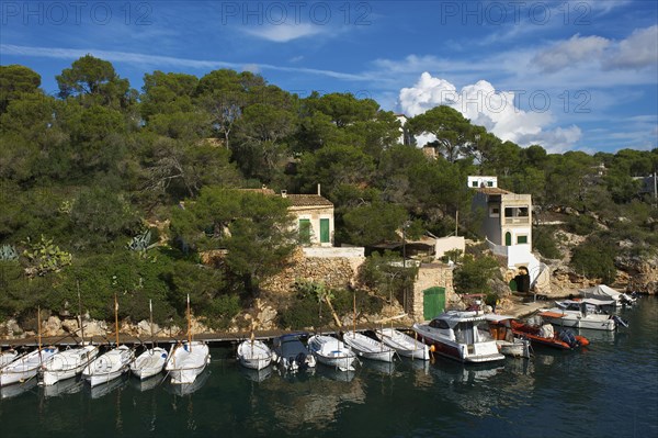 Fishing port in Cala Figuera