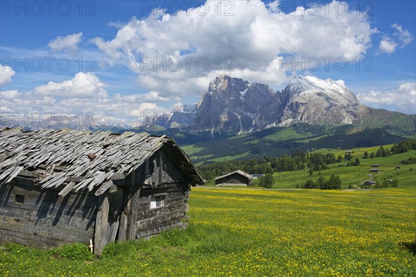 Alpine huts on the Alpe di Siusi with the Sella Group
