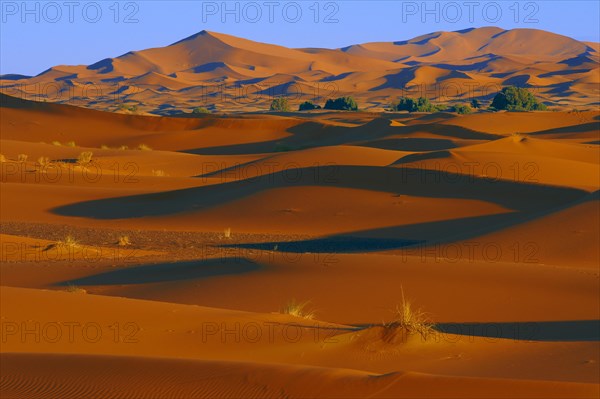 Merzouga