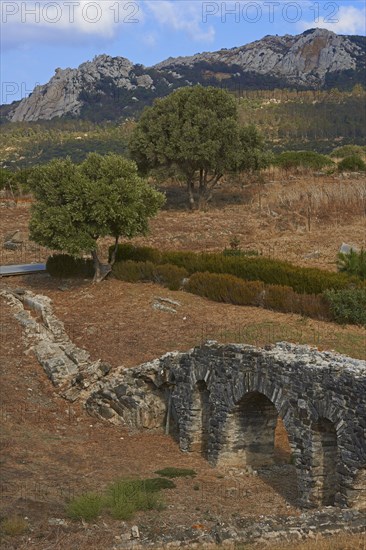 Bolonia