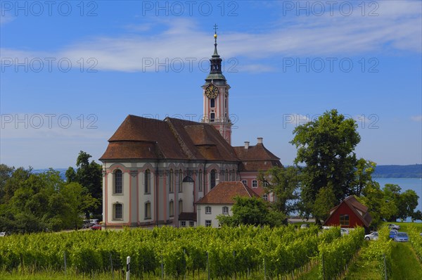Birnau