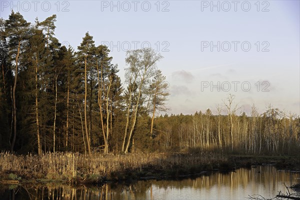 Moorsee