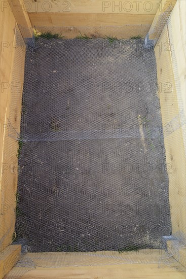Raised bed