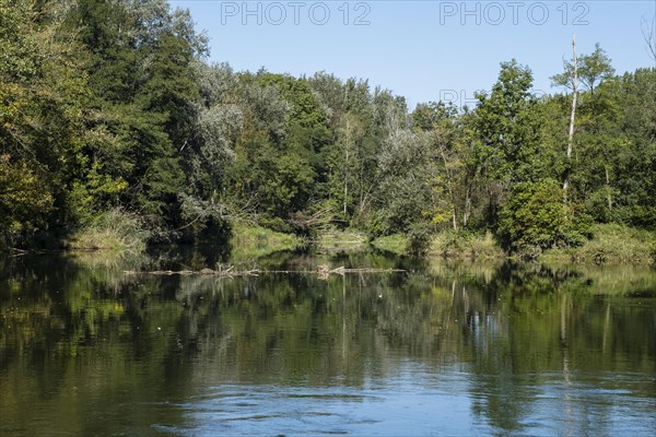 Alluvial landscape