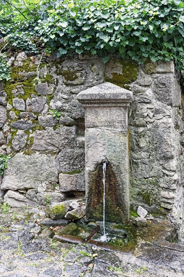 Fountain