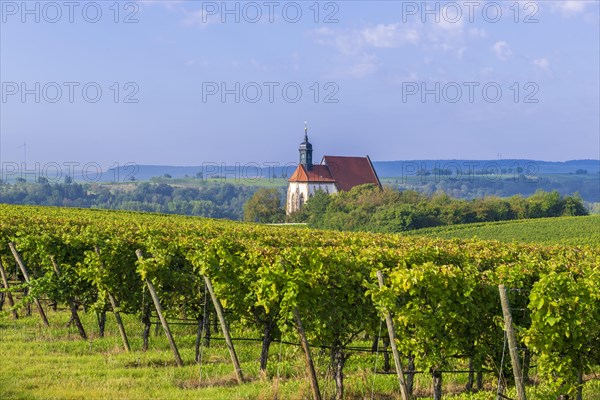 Pilgrimage church Maria im Weingarten