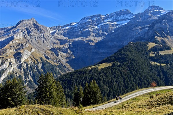Hikers in front of the mountain range Les Diablerets near the village Les Diablerets with the peak Scex Rouge