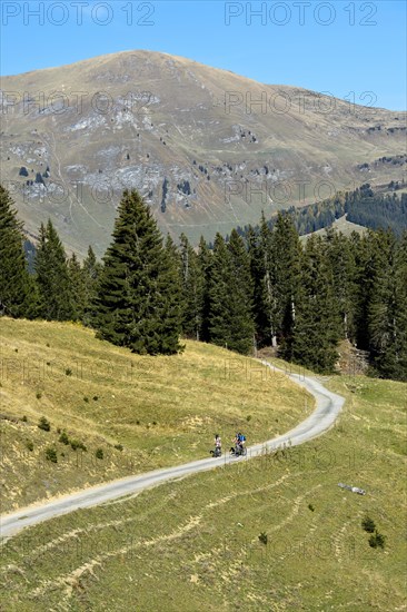 In the hiking area of Les Diablerets near the village of Les Diablerets