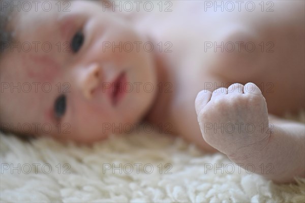 Infant
