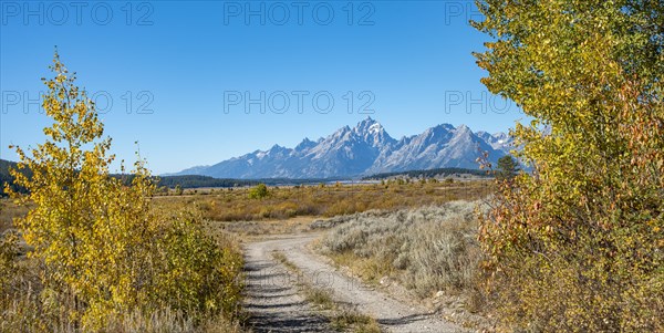Grand Teton mountain peak