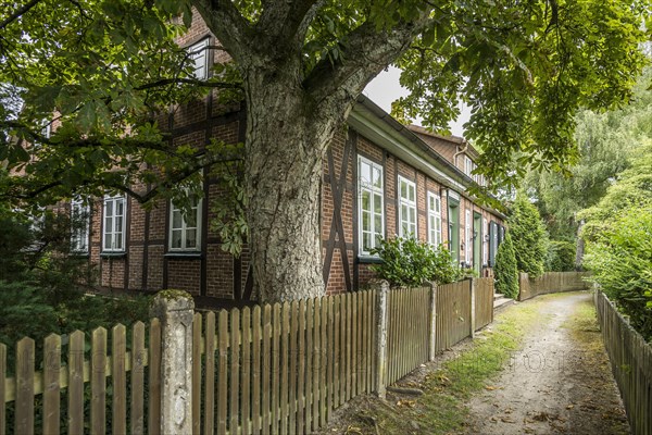 Koesterschule