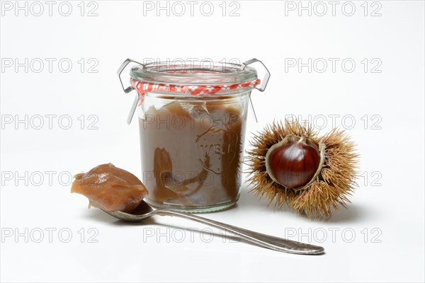 Chestnut