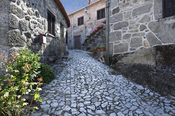 Narrow and shadowed street