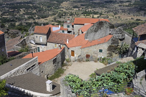 View over Monsanto