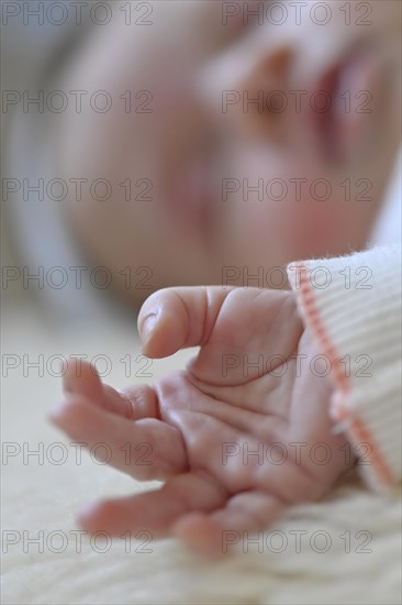 Infant