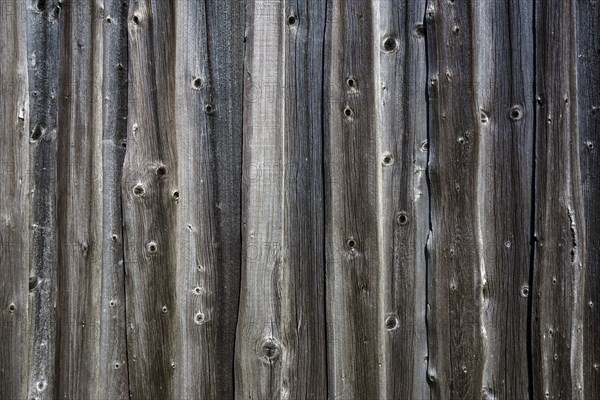 Old wooden boards as a wall of a barn