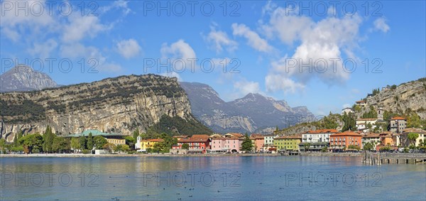Coastal town with colourful houses and the rocky mountain Monte Brione