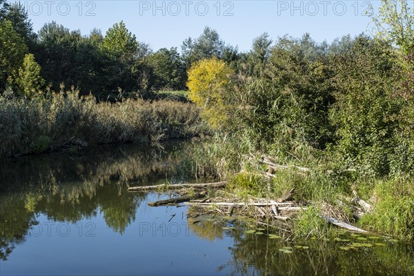 Alluvial landscape