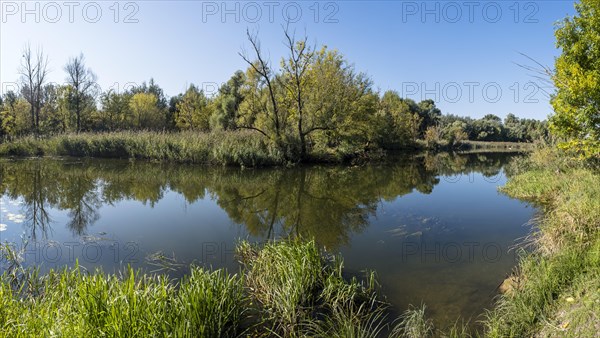 Alluvial landscape