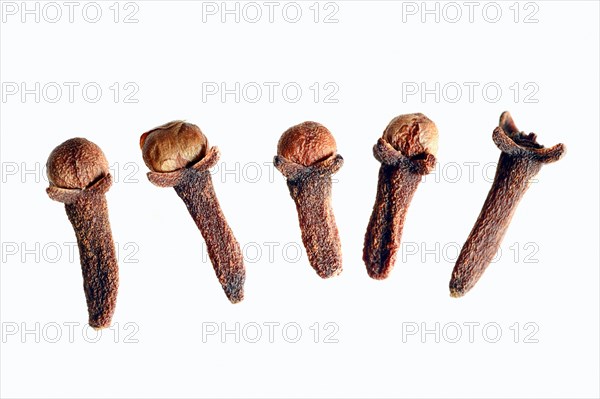Cloves
