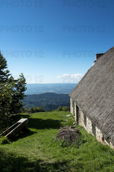 Farm