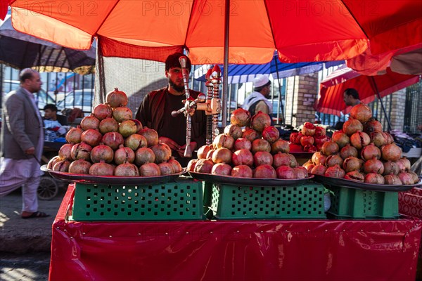 Local shop vendors