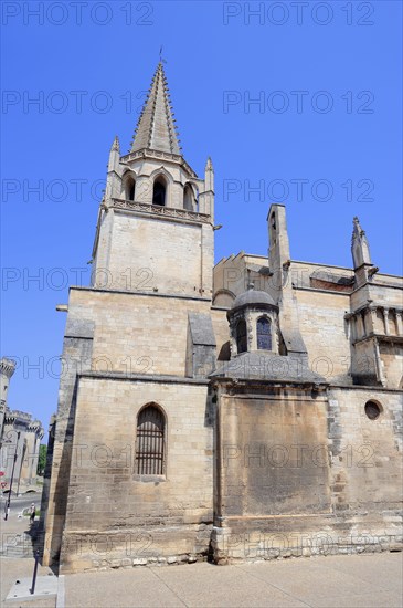 Church Collegiale Sainte Marthe