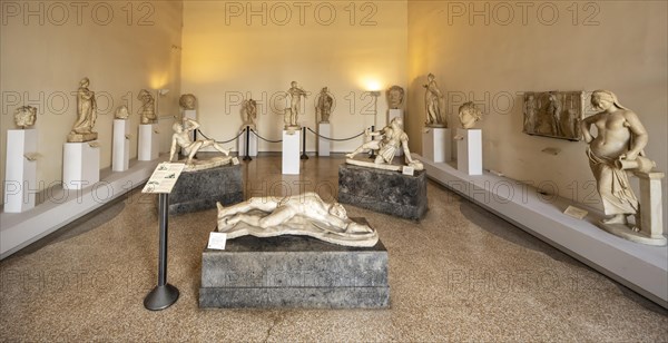 Marble statues in the Museo Correr