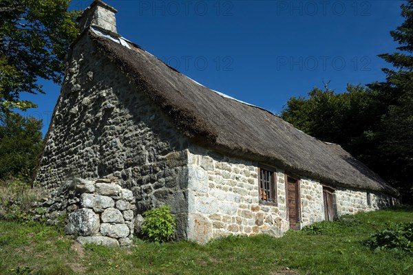 Farm