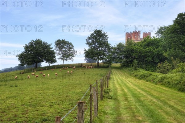 Powderham Castle