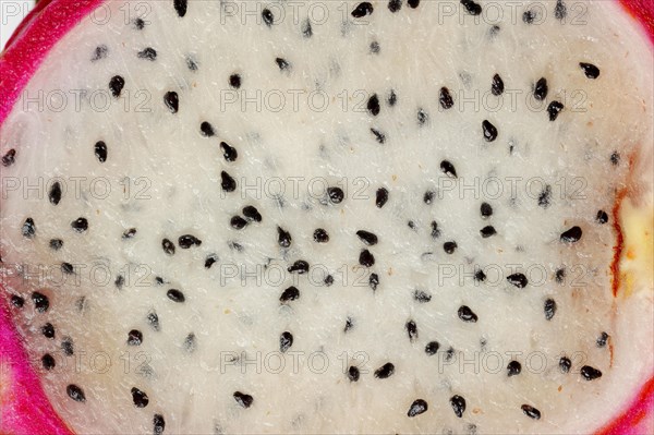White-fleshed Pitahaya