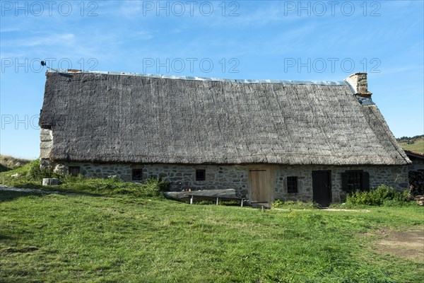 Farm
