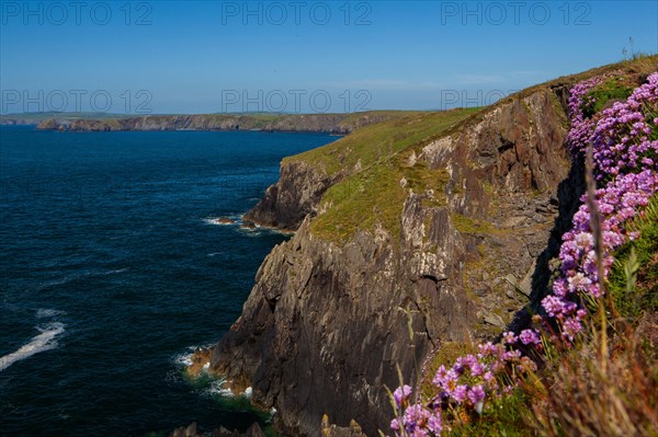 Cliffs