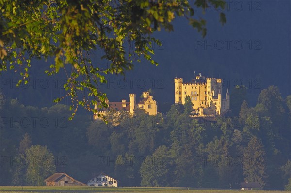 Hohenschwangau Castle
