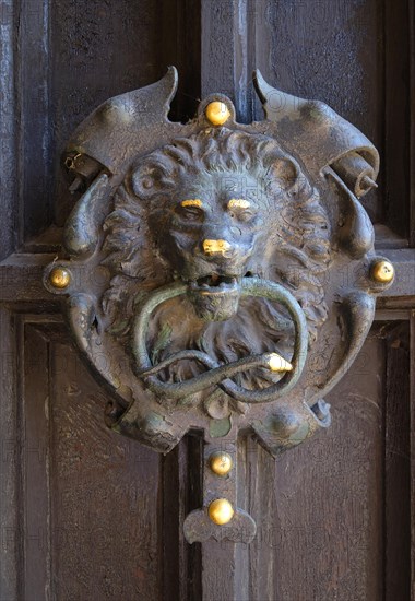 Lion's head