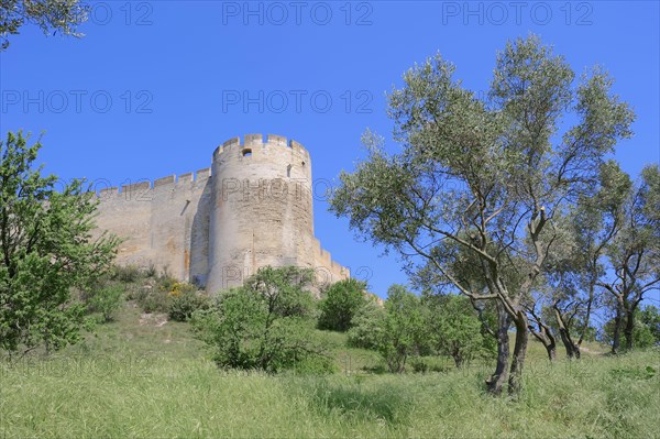 Fort Saint Andre