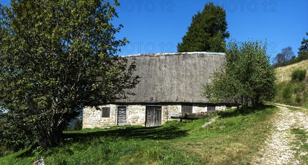 Farm