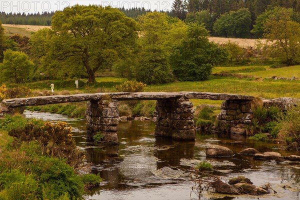 Bridge