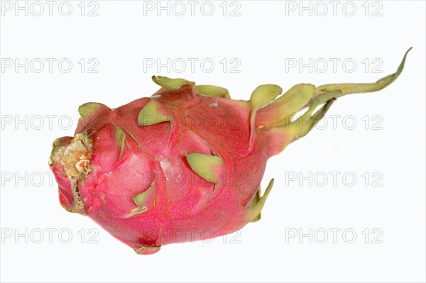 White-fleshed Pitahaya