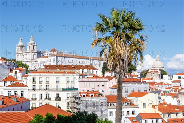 Portugal Travel City View of Old Town Alfama with Church Sao Vicente de Fora and Palm Tree in Lisbon