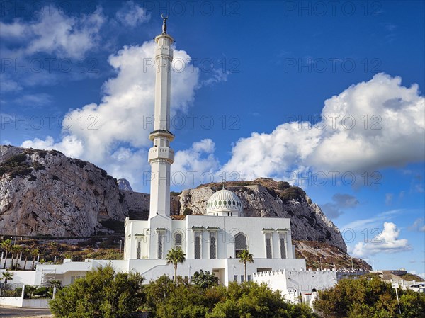 Ibrahim al Ibrahim Mosque also King Fahd bin Abdulaziz al-Saud Mosque and Mosque of the Custodian of the Two Holy Mosques