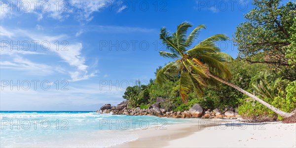 Anse Georgette Beach on Praslin Island with Palm Panorama Sea in the Seychelles