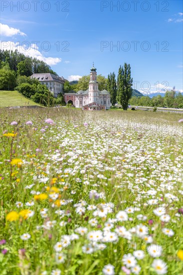 Flower meadow in front of the monastery St. Karl