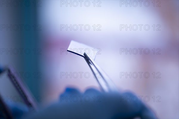 Embedded specimen with forceps in a histology laboratory