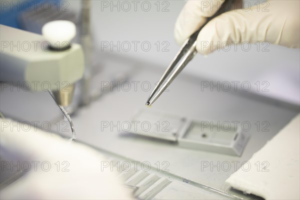 Embedded specimen with forceps in a histology laboratory