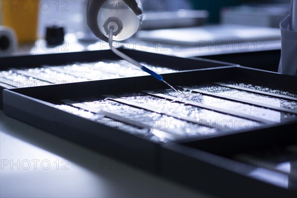 Rinsing samples in a histology laboratory